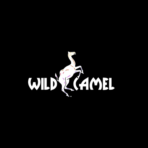 Wild Camel